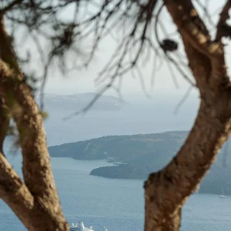 Willa Coat Of Arms Mansion *