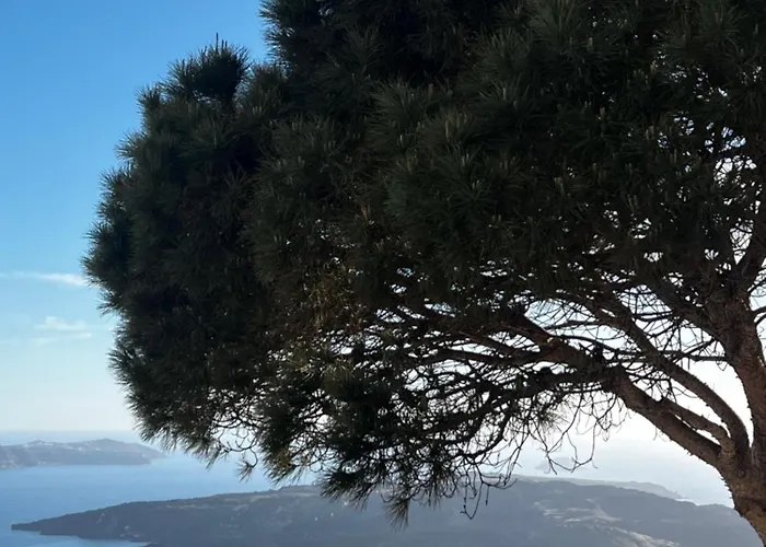 Coat Of Arms Mansion *